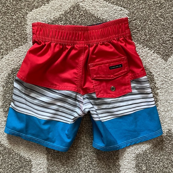 Toddler Boy Quicksilver Swim Trunks - Picture 2 of 4